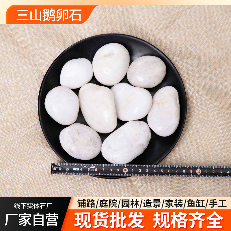 白色鹅卵石砾石园林盆栽公园景区石石头鱼缸园林造景白色水洗铺地