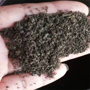 有機肥生物菌羊糞發(fā)酵高溫臭味發(fā)酵有機肥肥料無腐熟蔬菜果樹通用
