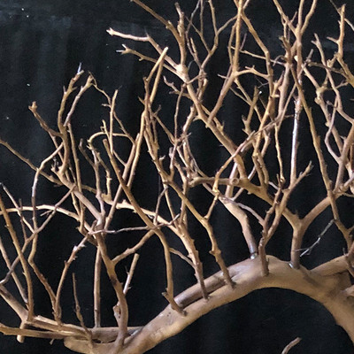 景观树植物户外枯树枝干室内庭院软装摆件去皮造型树庭院干树枝