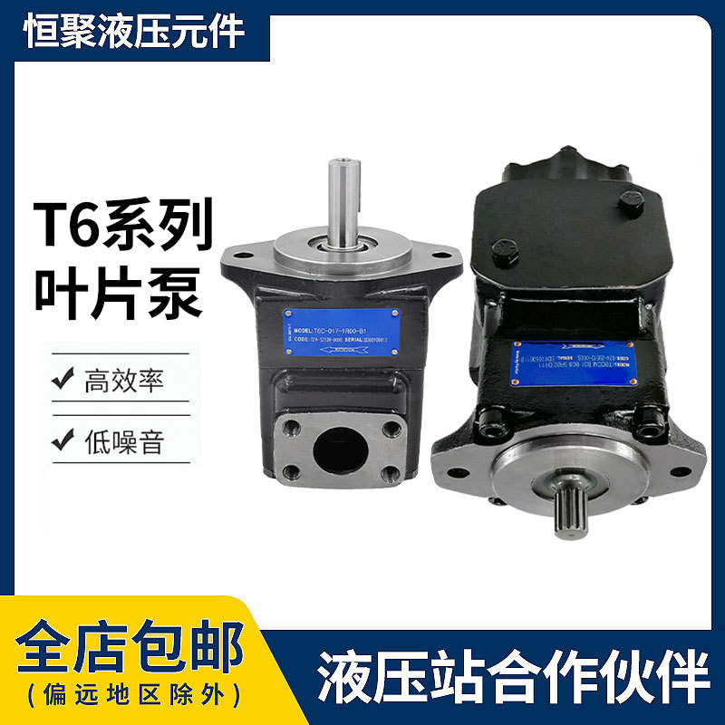 派克丹尼逊高压液压泵T6C/T6D/T6E/T6CC/T6DC/T6EC/T6ED定量油泵