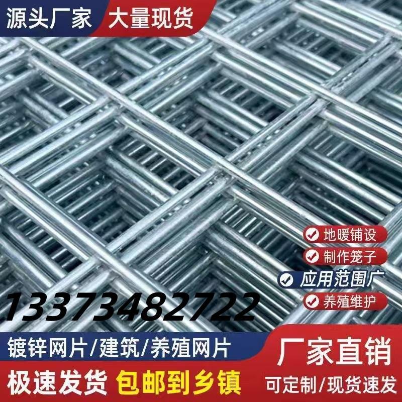 热镀锌网片围栏钢筋电焊网铁丝网加粗养殖建筑网格钢丝防护钢丝网