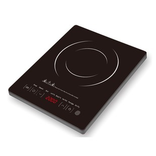 110V220V电磁炉多功能电磁灶蒸煮炒菜火锅出口中东北美Russia