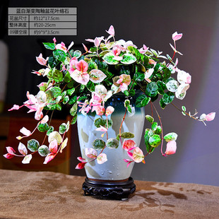 络石藤本植物带卧室好爬藤植物盆栽室内书房盆景盆栽绿植