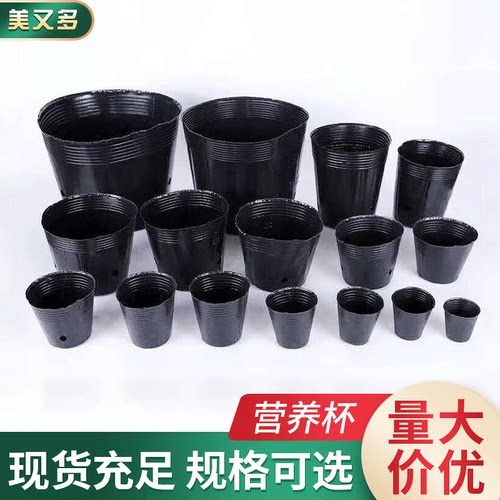 批发一次性塑料营养杯黑色加厚营养钵植物育苗盆育秧杯育苗袋