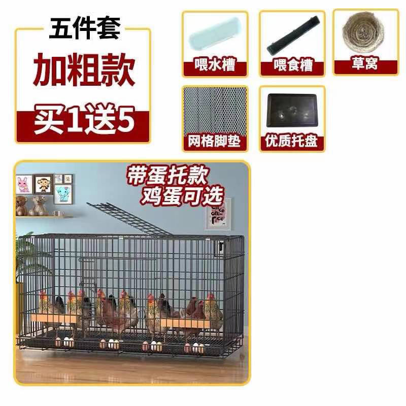 养自动鸡笼子下蛋鸡笼家用清粪滚蛋大号特大号鸡窝鸡舍折叠养殖