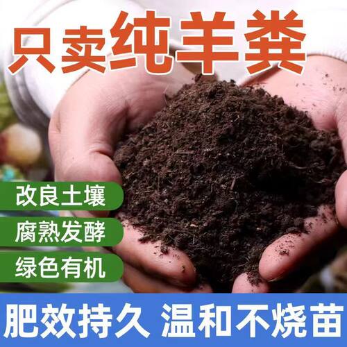 羊粪发酵花卉盆栽蔬菜园林花卉改良土壤底肥发酵纯羊粪