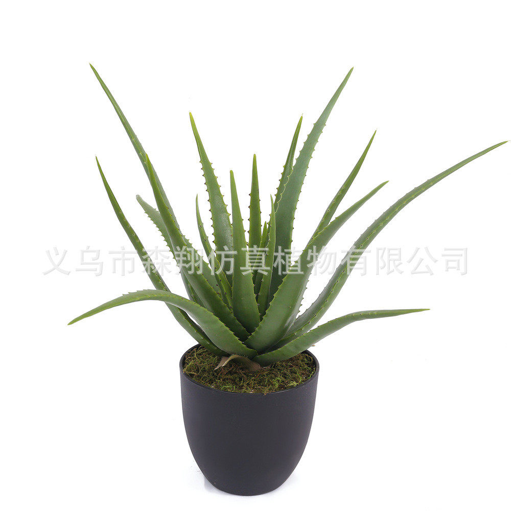 假绿植仿真家居装饰植物盆栽仙人掌芦荟盆栽办公多肉绿植盆栽摆件
