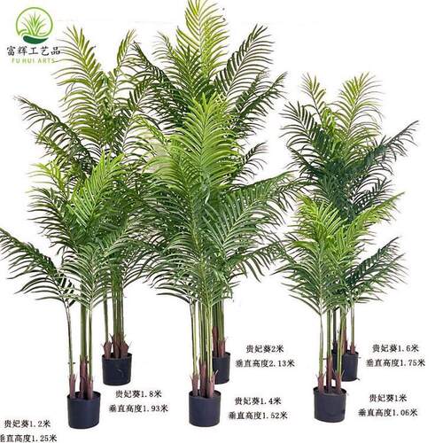 仿真装饰树2米造景室内假植物凤尾葵散尾葵道具摆件批发贵妃葵