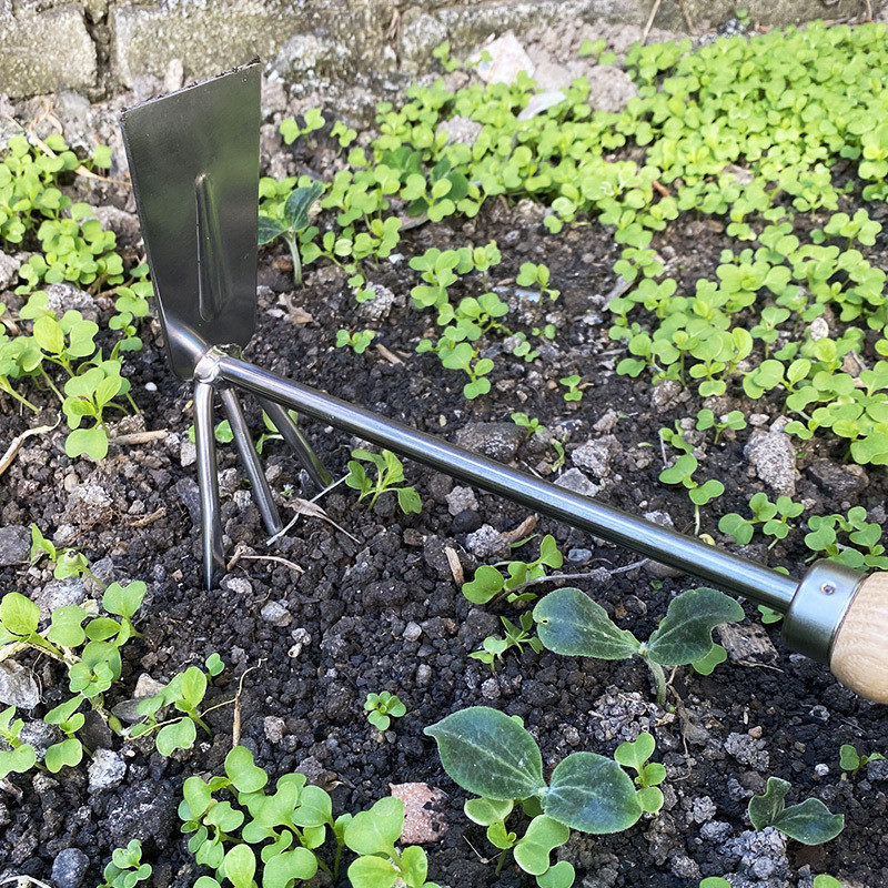 种花小铲子园艺工具花铲套装小铁铲赶海多肉不锈钢锄,鲜花速递/花卉仿真/绿植园艺,园艺用品套装,淘宝优惠券,粉丝福利购,淘宝优惠卷