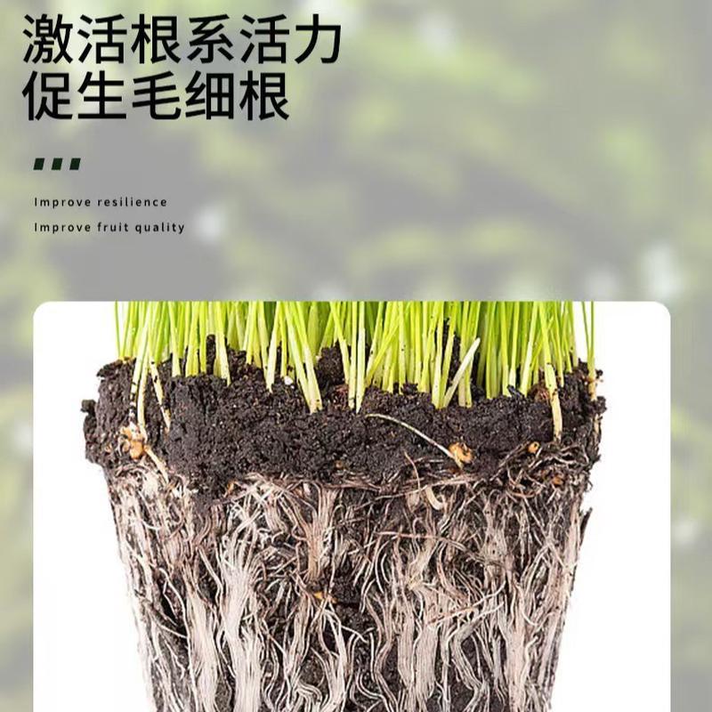 流体硼叶面肥果蔬蔬菜促花果保增产促进花芽分化农用糖醇硼