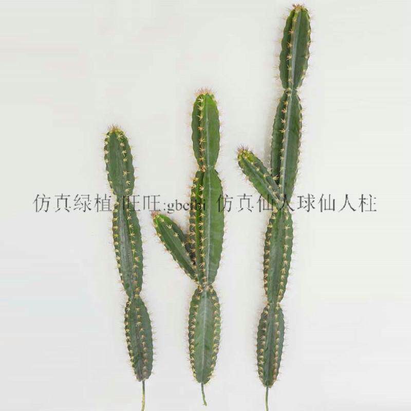 仿真仙人掌热带植物北欧风格柱摆件假花组合套装ins仙人装饰摆件