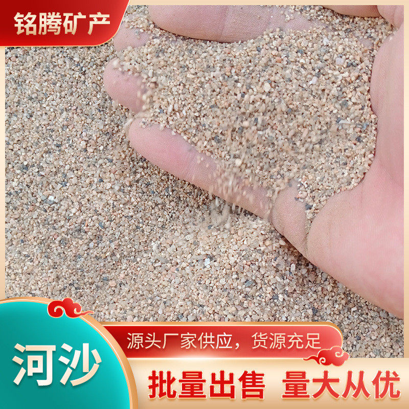 河沙砂浆烘干砂厂家批发建筑铸造用沙分粒水洗细圆目贝壳沙