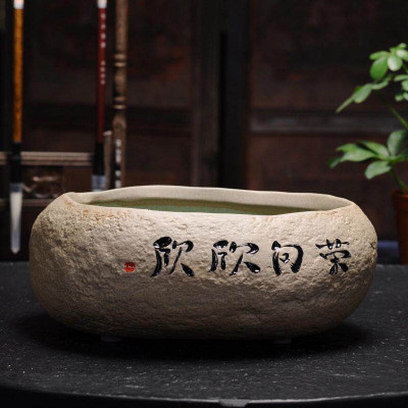德化批发粗陶多功能茶洗水培植物手写盆栽多肉花盆陶瓷花盆大号