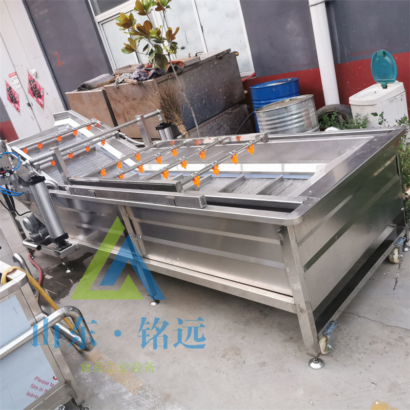 热销保鲜娃娃菜鼓浪清洗机自动番石榴芭乐清洗机秋葵气泡气泡清洗