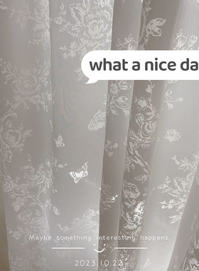 法式洛可可蕾丝光影蝴蝶门帘飘窗阳台透光不透人隔断纱蝴蝶窗帘纱