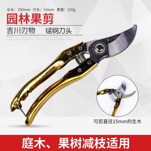 剪枝剪修枝剪果树锋利园林园艺剪刀手剪桑剪摘果剪刀剪子采果修枝
