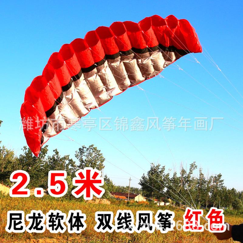 3d立体潍坊双线品质风筝批发展开约250*87cm送放飞工具软体好kx