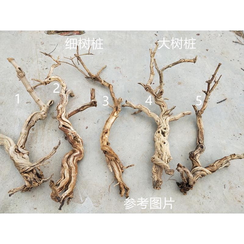 p616去皮造型树枝干枝装饰树枯树杆龙骨造景树玄关屏风摆件霸王歪