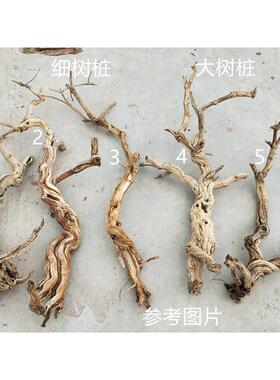 p616去皮造型树枝装饰树龙骨枯树杆干枝造景树玄关屏风摆件霸王歪