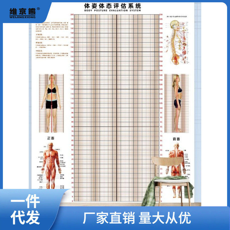 体态评估表墙贴健身房体测网格纸瑜伽馆私教姿势体位背景墙包邮