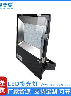 50W80W户外防水投光灯200W150W100W广场路灯泛光灯球场灯厂家