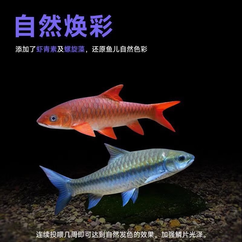 海豚吉罗鱼专用饲料鱼食吉罗吉罗金红蓝鱼颗粒增艳诱色缓沉型鱼粮
