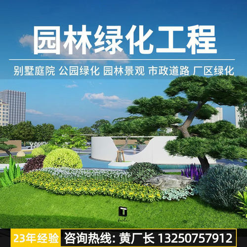 丛生假苹婆树园林绿化园乔木苗公工程广场行道风景树梓树养护施工