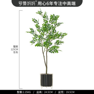 装饰莲北欧风以法仿真绿植盆栽黄杨树假树客厅落地植物盆景摆件