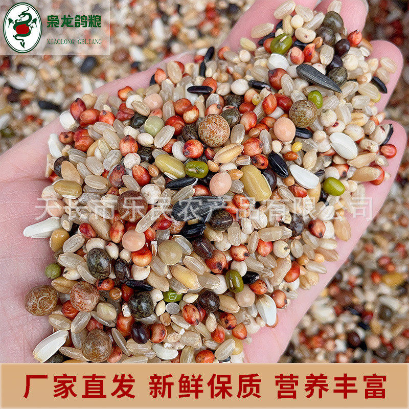 枭龙鸽粮a级育雏喷窝赛鸽营养饲料鸽子食观赏鸽粮食50斤