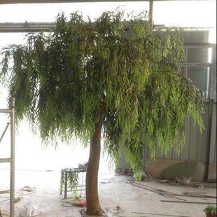 热销仿真柳树四季常青树垂柳景观人造酒店直柳树玻璃钢人造仿真柳