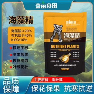 海藻精农业水产有机肥料海藻含量高精叶面土壤改良水溶肥批发