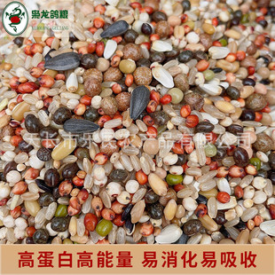 枭龙鸽粮a级育雏喷窝赛鸽营养饲料鸽子食粮食观赏鸽50斤
