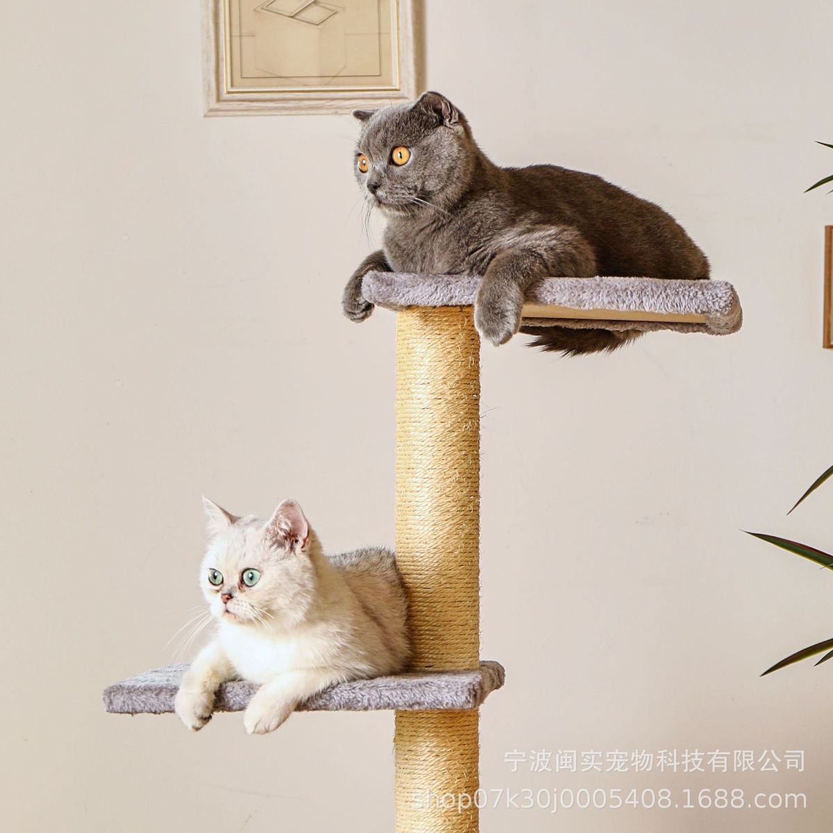 剑麻猫咪用品方形猫窝阶梯木质厂家直销柱猫笼猫树猫爬架