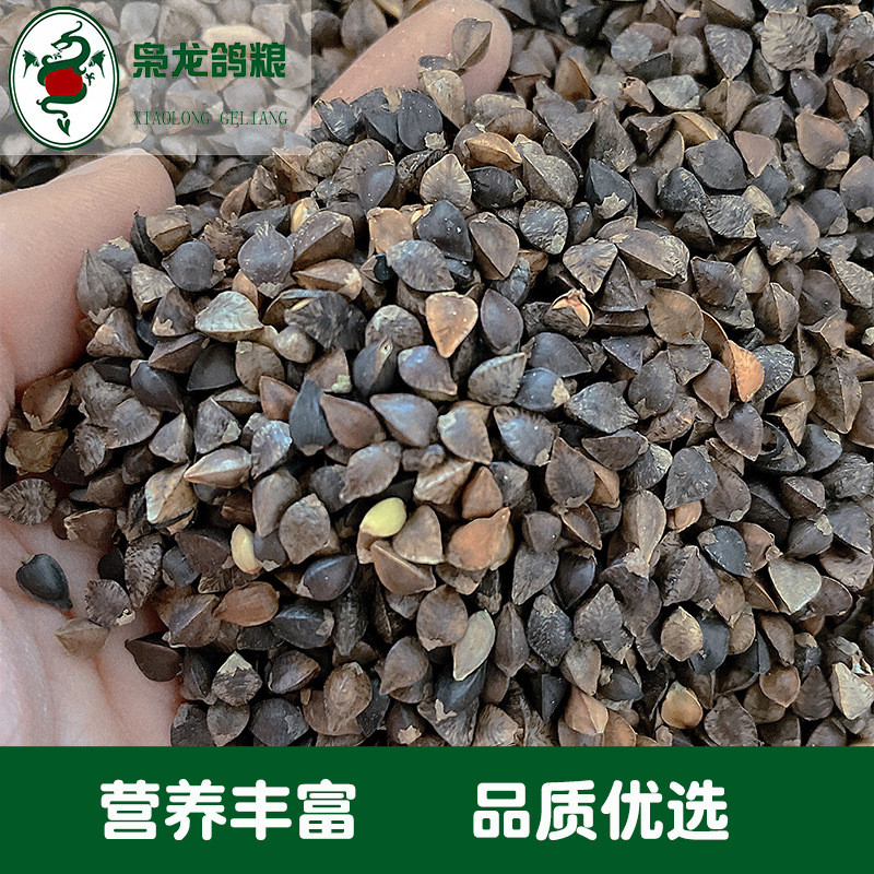 枭龙鸽粮荞麦50斤赛鸽信鸽营养沪浙江原料皖包邮