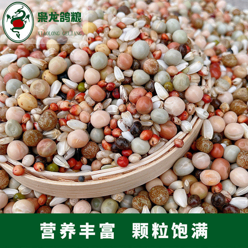 枭龙鸽粮无花生无小麦沪批发鸽子食浙江幼鸽皖包邮