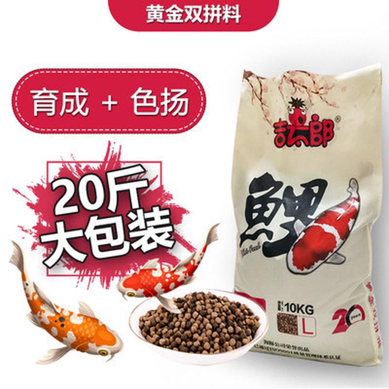海豚锦鲤鱼饲料双拼育成色扬金鱼鱼粮专用不浑水通用颗粒上浮鱼食