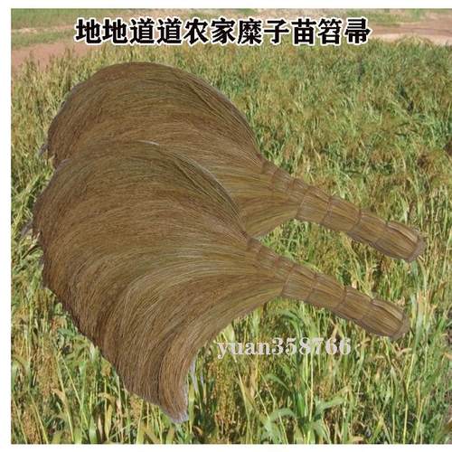热销1e31山西特产糜子传统笤帚手工植物糜黍子苗制作扫把头清洁用