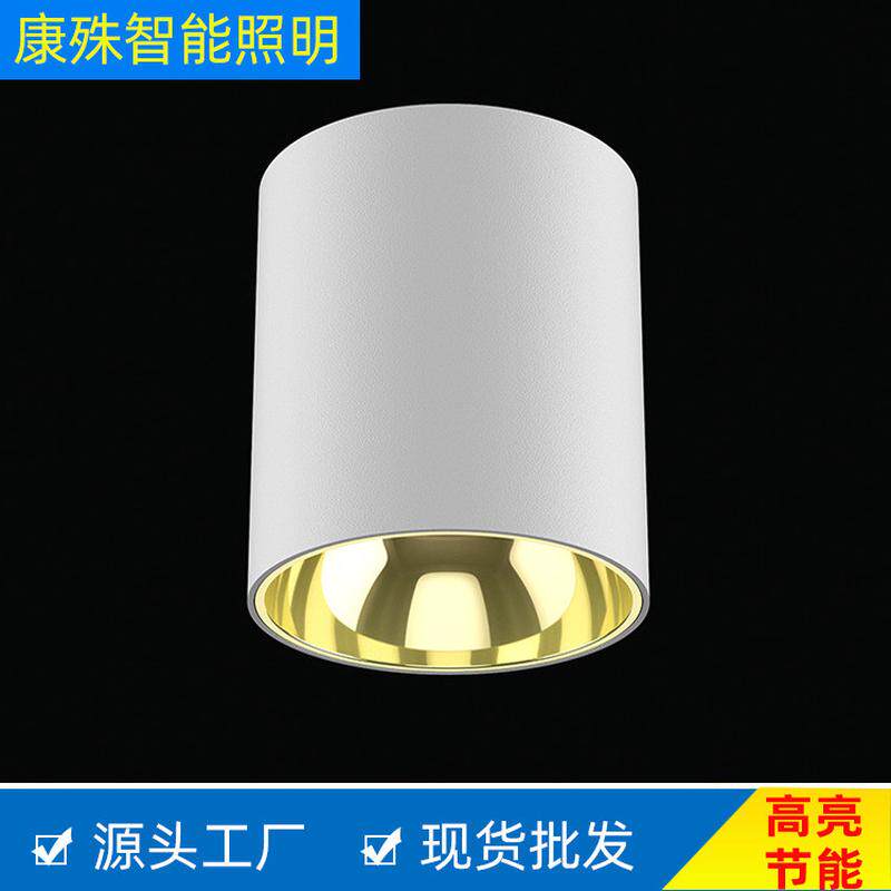 筒灯led明装筒灯60w70w80w100w5寸6寸8寸压铸防水防眩筒灯