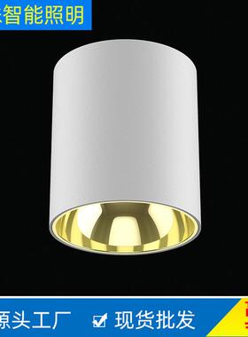 筒灯led明装筒灯60w70w80w100w5寸6寸8寸压铸防水防眩筒灯