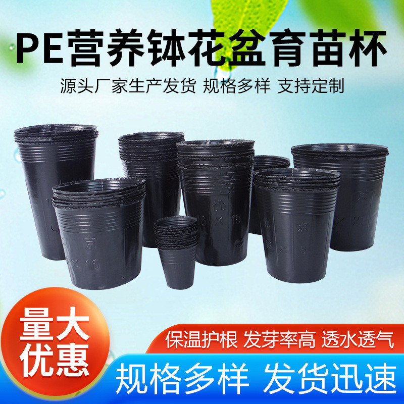 12x15cm农业育苗专用大号pe塑料营养钵花盆林业杯批发
