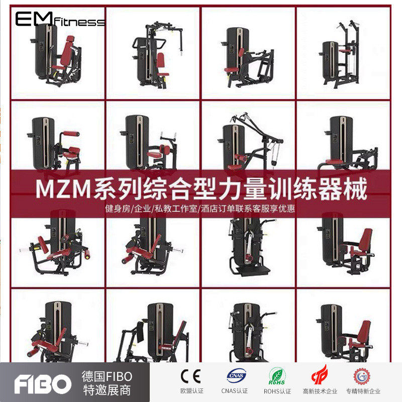 MZM坐姿推胸蝴蝶机直臂夹胸训练高低拉背肩部推举伸曲腿健身器材