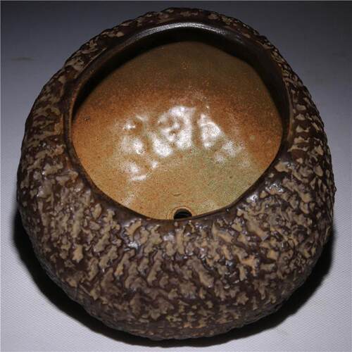 粗陶砂陶多肉花盆个性龙透气创意流釉多肉植物花盆厂家批发