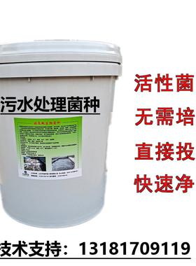 微生物污水处理剂好氧厌氧池生物膜活性污泥菌种医院生活废水处理