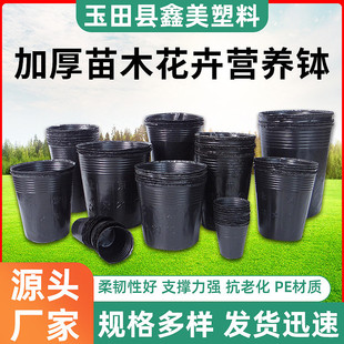 黑色加厚育苗袋营养种植批发育苗杯pe塑料育苗盘植物园艺育苗盆袋