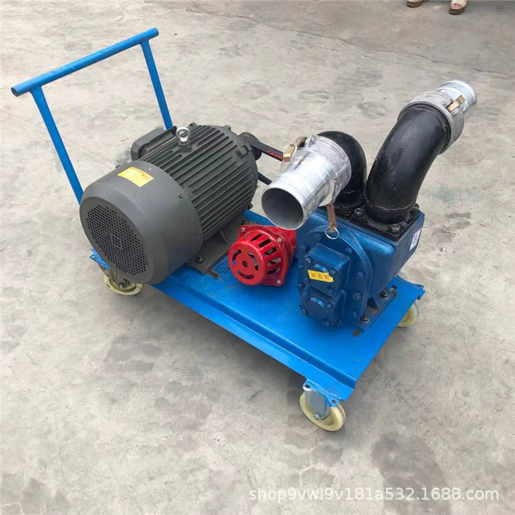 热销小型4寸抽粪泵养殖场抽粪抽污水高压抽水泵大吸力无堵塞水泵