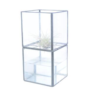 现代简约透明玻璃花瓶双层水培盒客厅摆件绿萝空气凤梨花瓶玻璃瓶