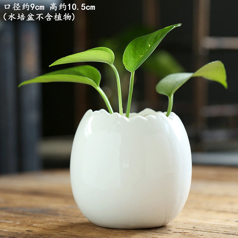 轻奢高级感绿植花盆无孔专用水培陶瓷花盆水养水培大号桌面花盆,鲜花速递/花卉仿真/绿植园艺,花盆,淘宝优惠券,粉丝福利购,淘宝优惠卷