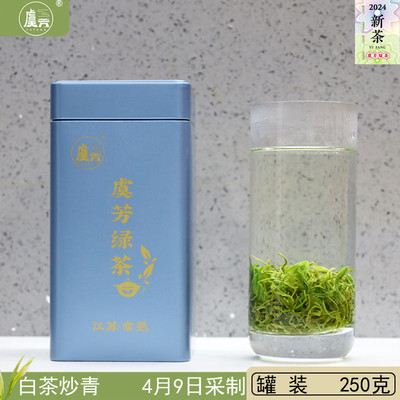 常熟虞芳茶业2024年新茶叶虞山工艺绿茶白茶炒青