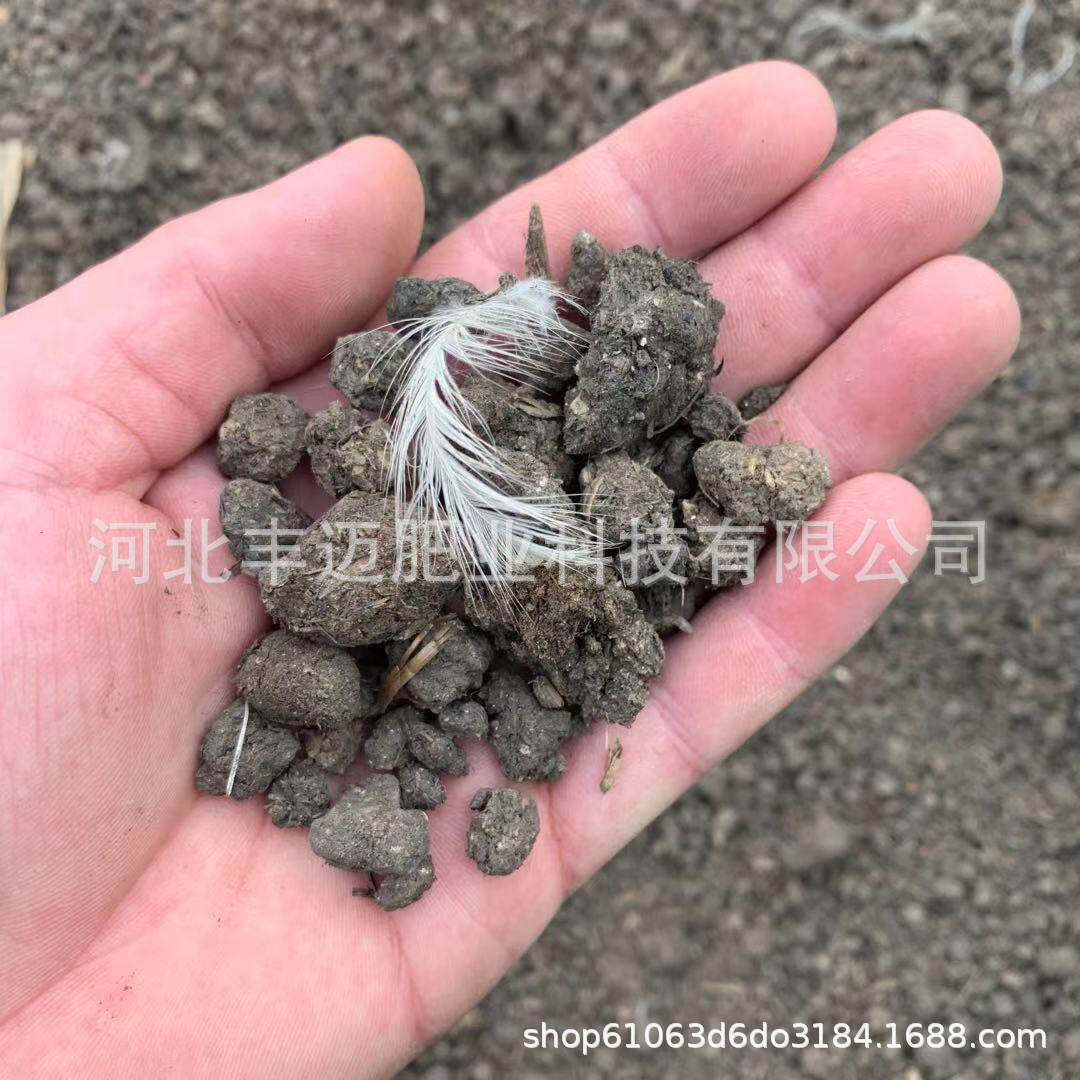 干鸡粪鸡粪颗粒鸡粪肥沃土壤发酵鸡粪颗粒果树花卉用有机肥有机肥