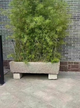 老旧石槽鱼缸养鱼石头花盆种花庭院小石槽流水组合民间猪槽牛槽